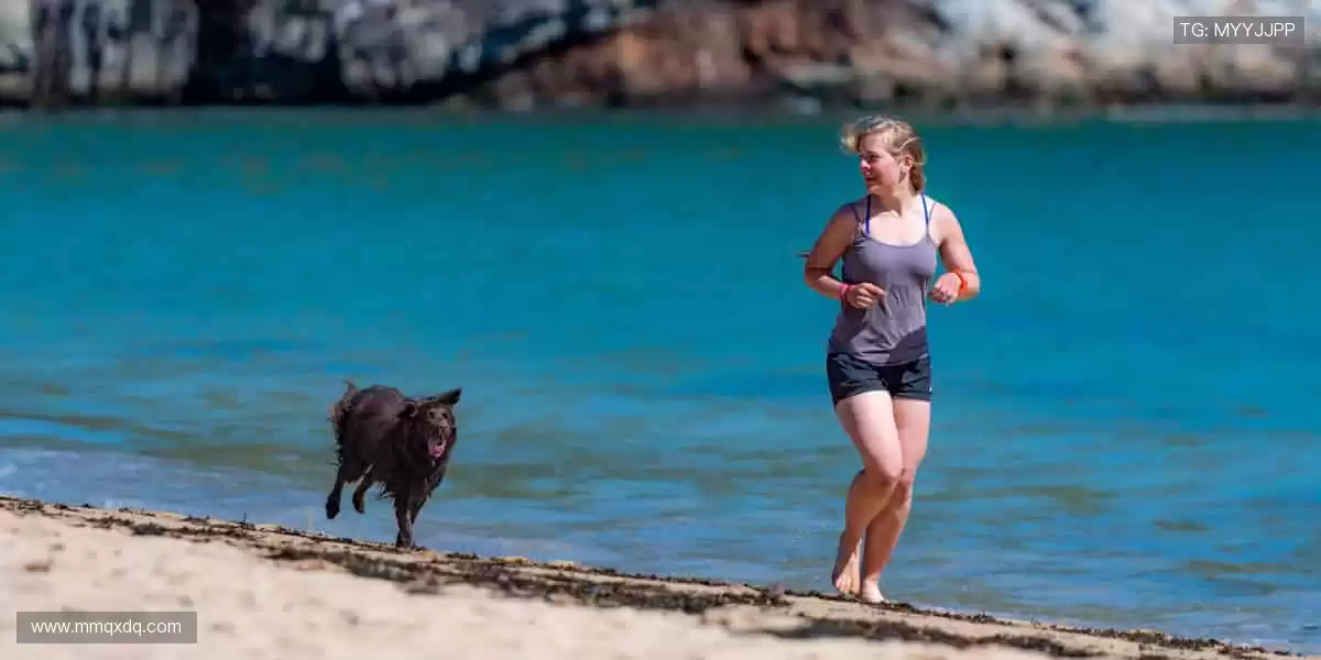 巅峰对决，见证荣耀时刻！🏆